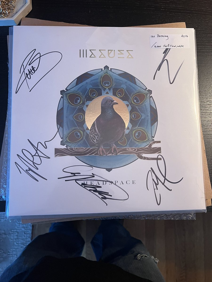 Devlin Fehly tweet media