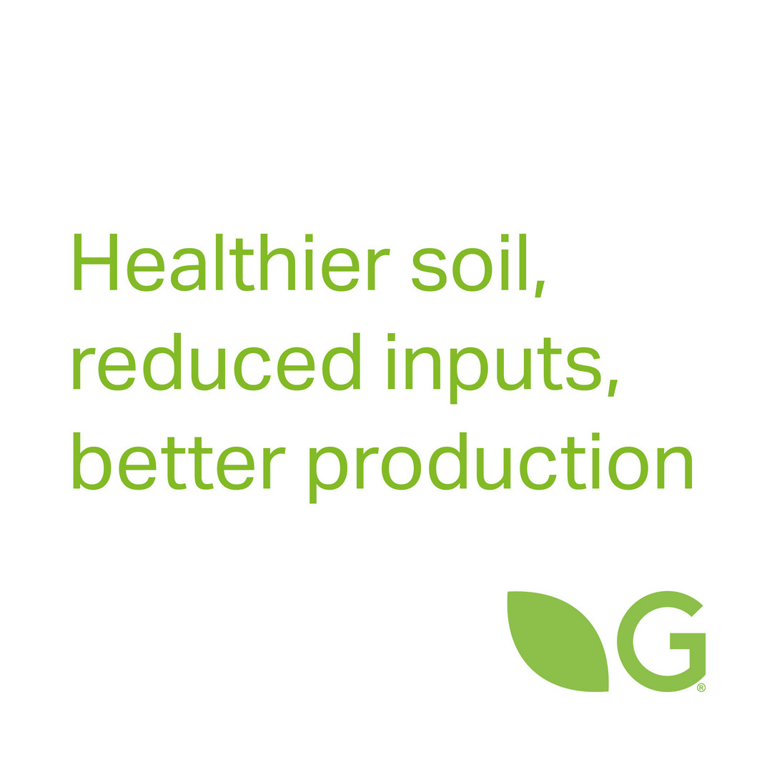 Germinal GB tweet media