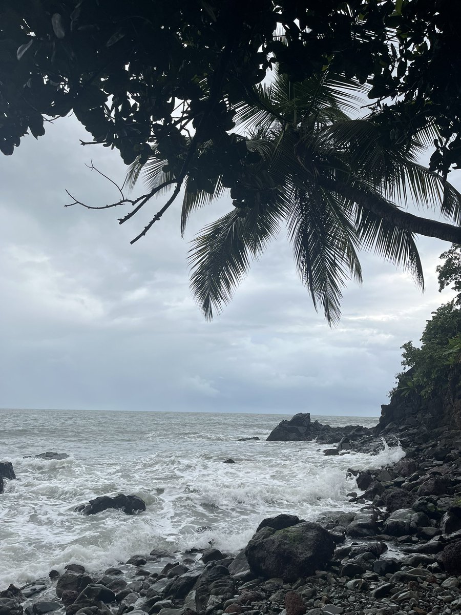 mansibhardwaj25's tweet image. happiest by the ocean🐚🌊🌸⛅️ #goadiaries