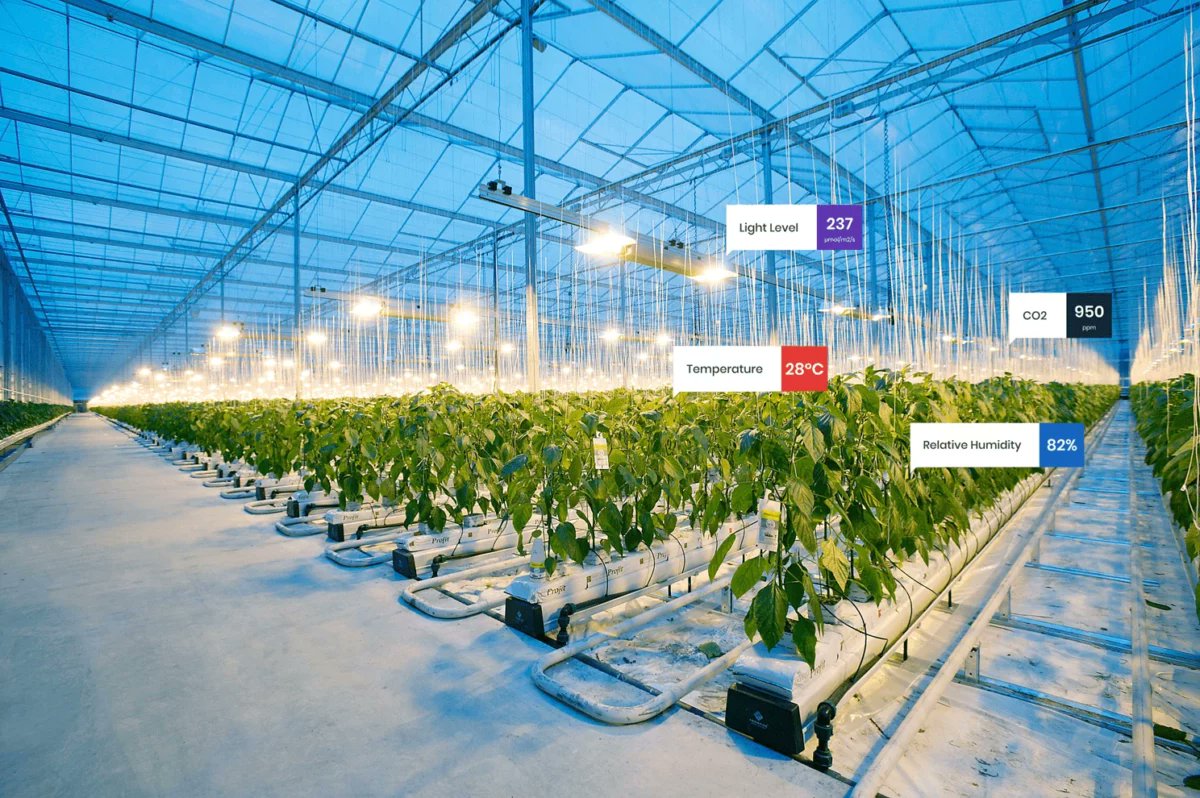 The FarmBits Podcast tweet media