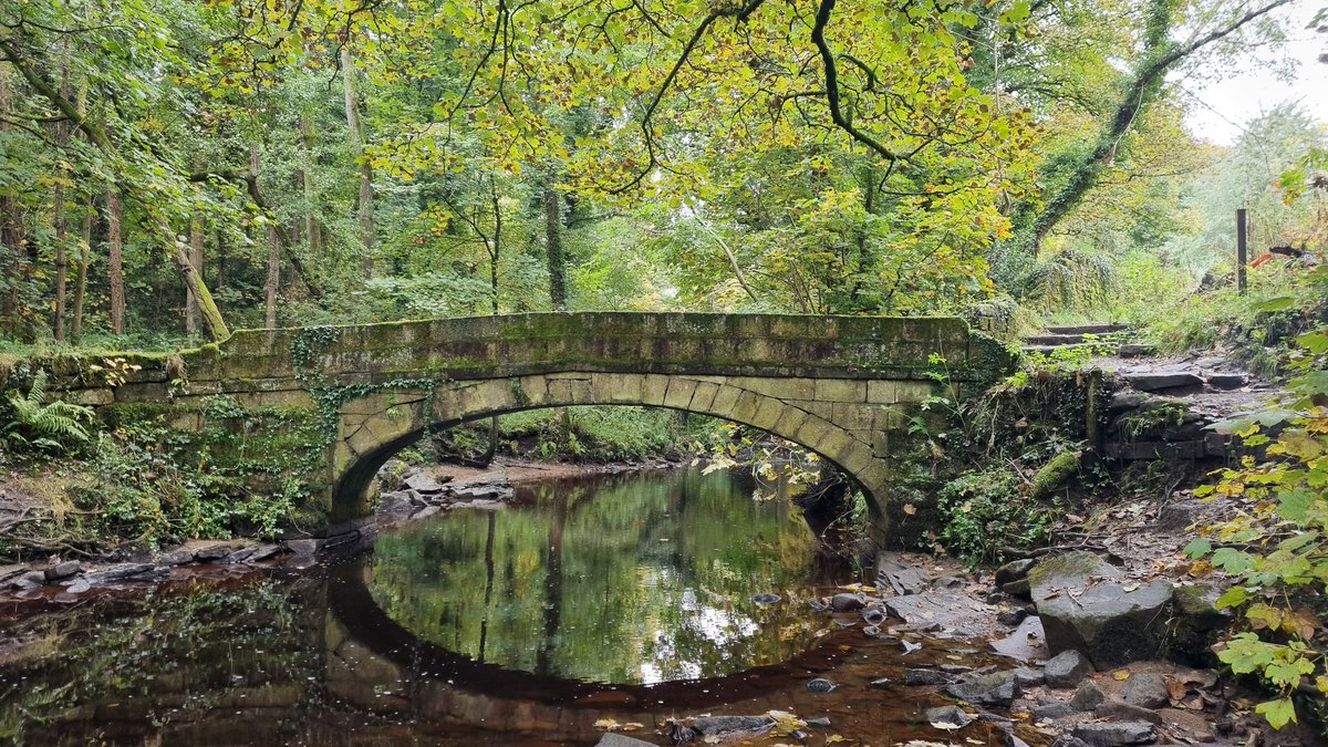 xplorengland's tweet photo. Had a walk along the #rivelin valley trail near Sheffield, great overnight van stop nearby too https://t.co/2m43u7wDFM