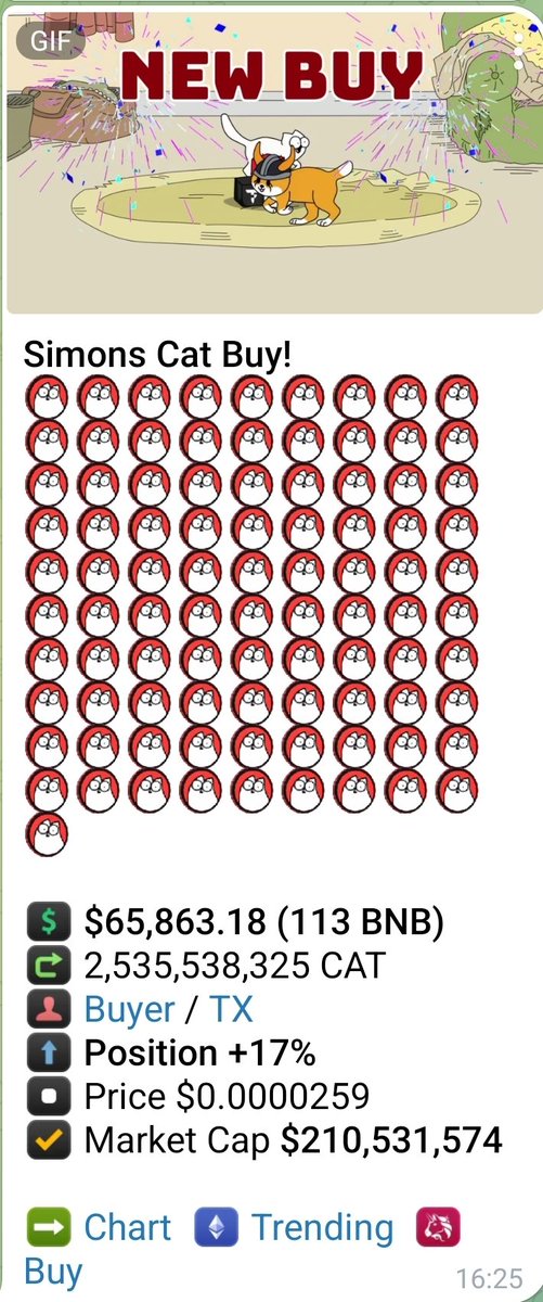 Ste HODL tweet media