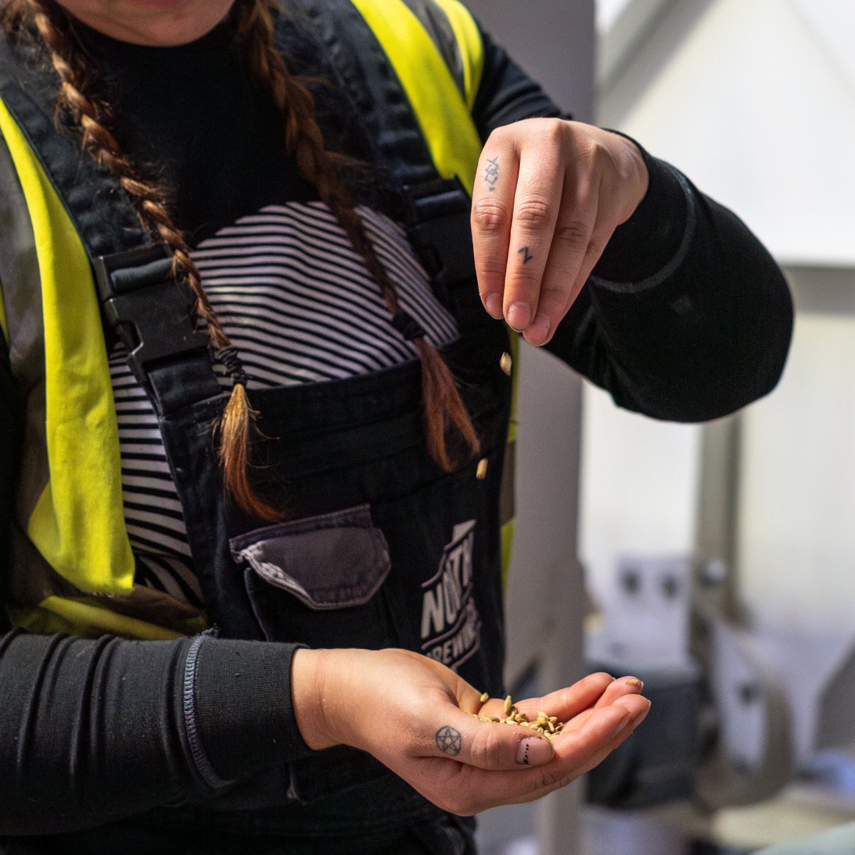 Experience brewing firsthand at North! 🍻 Join us for a brewery tour where you'll explore the process behind your favourite beers. Afterward, unwind with a guided beer tasting in our taproom.

Secure your spot now: info.northbrewing.com/event/brewery-…

#Leeds #BreweryTour #CraftBeer