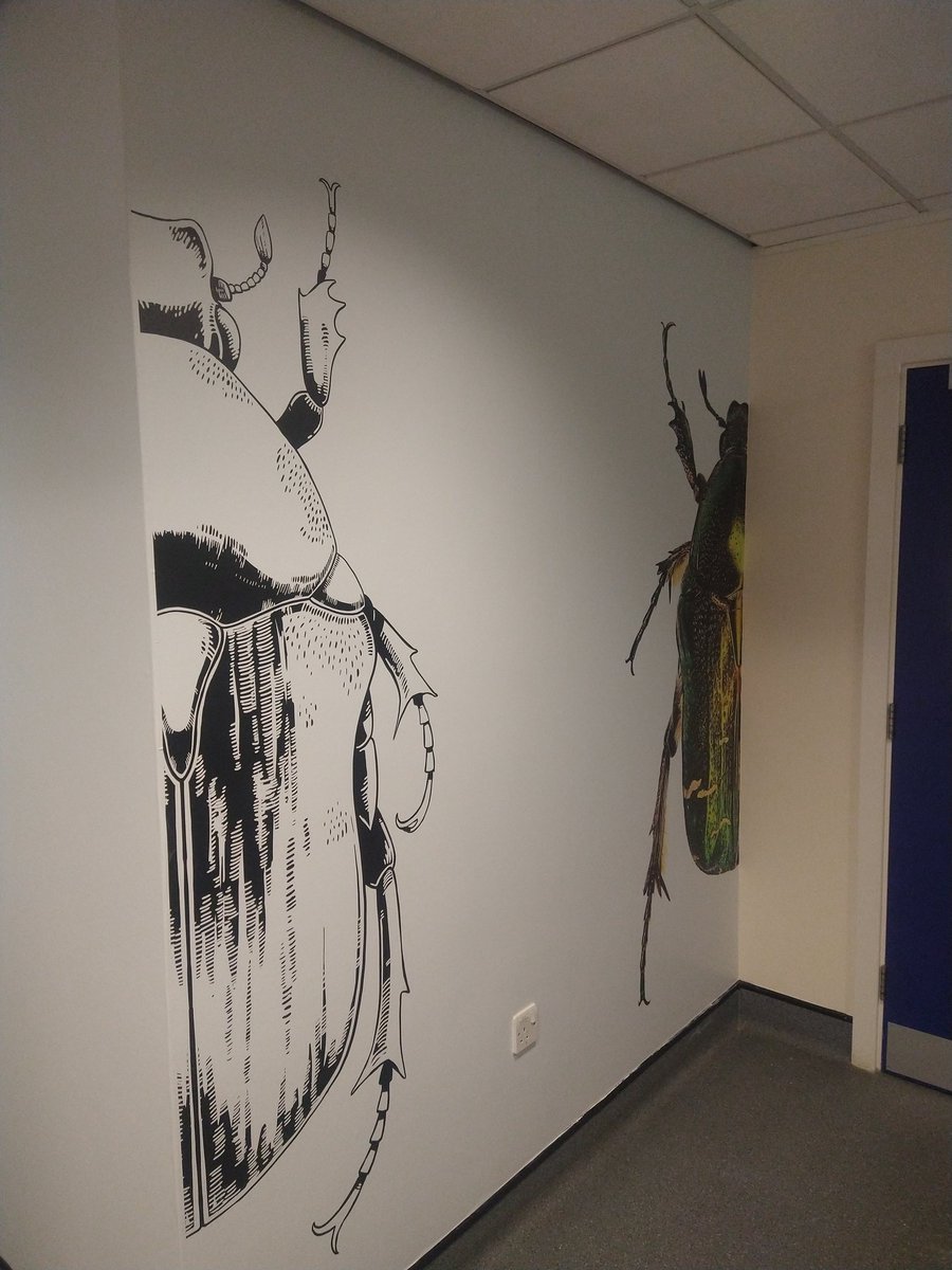Loving the new wall art outside our entomology labs 🤩🦋🪲