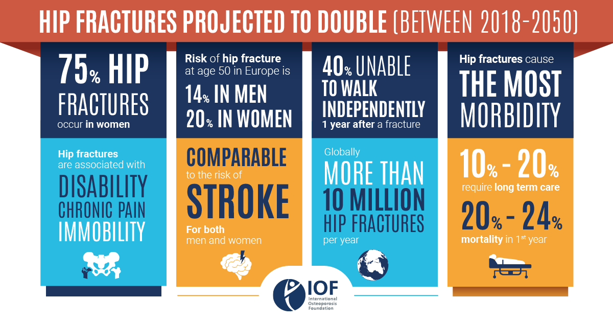 iofbonehealth's tweet photo. With the ageing of the population, the number of hip fractures globally is projected to nearly double from 2018 to 2050.  As #WorldOsteoporosisDay approaches, let’s unite &amp; call on health authorities to prioritize first and secondary fracture prevention. 
https://t.co/2uynXpKdMl https://t.co/Sh0mCgGhSh