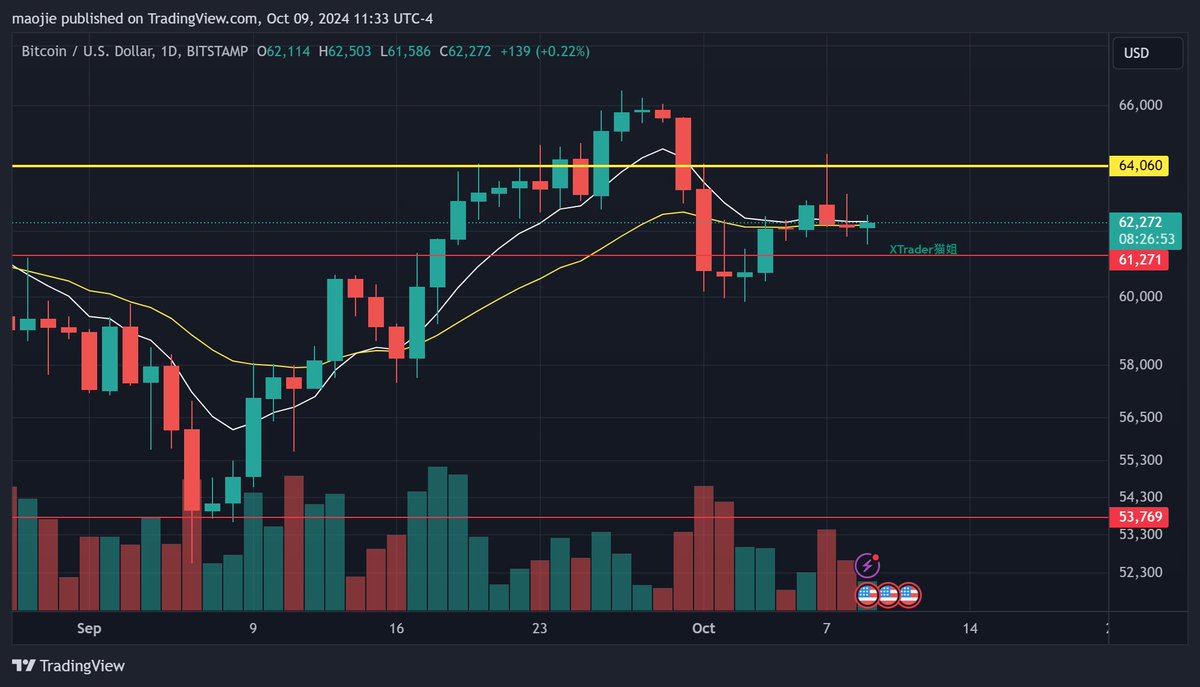 XTrader猫姐美股交易 tweet media