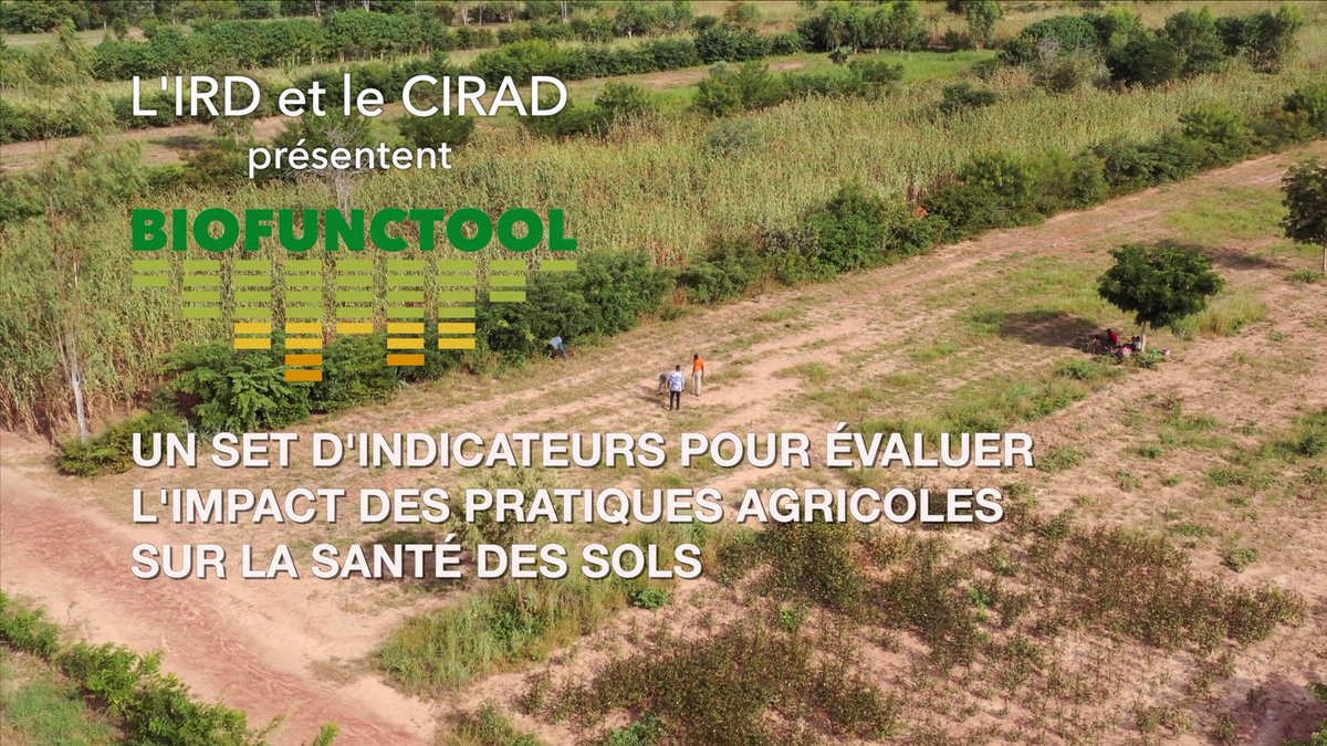 LaTrame's tweet photo. #Biofunctool Le teaser réalisé par Boris Claret et Isabelle Dario de Biofunctool, outil d'évaluation de la santé des sols, développé par @UMR_EcoSols @ird_fr @Cirad, est à découvrir 🎦 https://t.co/o8xmcengz5 https://t.co/rNwwY0oGzJ