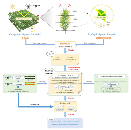 RemoteSens_MDPI's tweet image. 🌿🌿 Estimating the Horizontal and Vertical Distributions of #Pigments in #Canopies of Ginkgo Plantation Based on #UAV-Borne #LiDAR, #Hyperspectral Data by Coupling #PROSAIL Model

✍️ Shiyun Yin et al.
📎 brnw.ch/21wNBL4