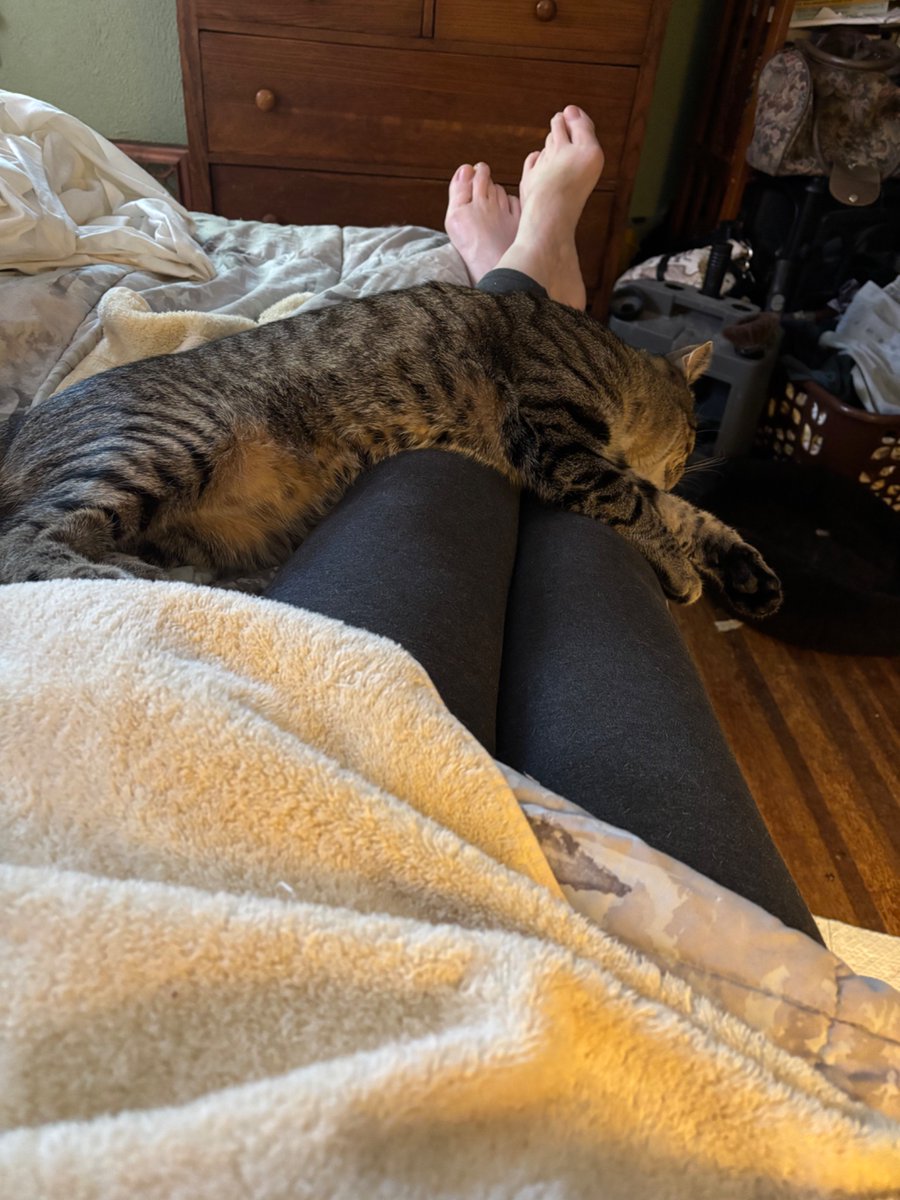 Lee_in_Iowa's tweet photo. A break from politics. 

Me and #FinnAgain, relaxing for a while. https://t.co/rurhknMaXr