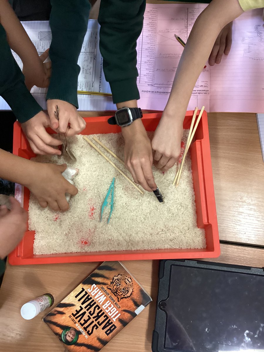 Year6Markeaton's tweet image. 🧠This week Y6 have been exploring evolution and adaptations including an experiment into ‘which beak is best’ - inspired by Darwin’s finches. #MPSScience #MPSHistory