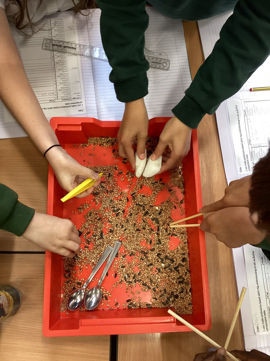 Year6Markeaton's tweet image. 🧠This week Y6 have been exploring evolution and adaptations including an experiment into ‘which beak is best’ - inspired by Darwin’s finches. #MPSScience #MPSHistory