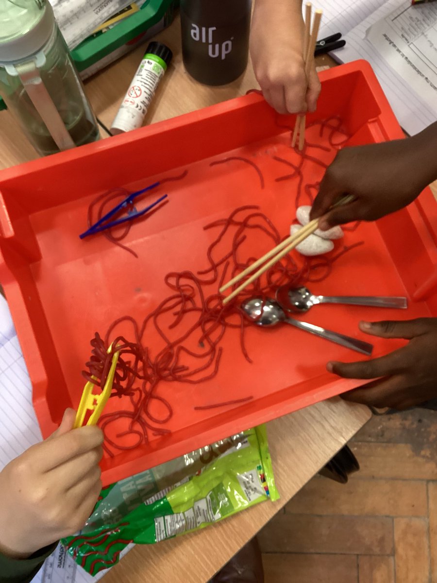 Year6Markeaton's tweet image. 🧠This week Y6 have been exploring evolution and adaptations including an experiment into ‘which beak is best’ - inspired by Darwin’s finches. #MPSScience #MPSHistory