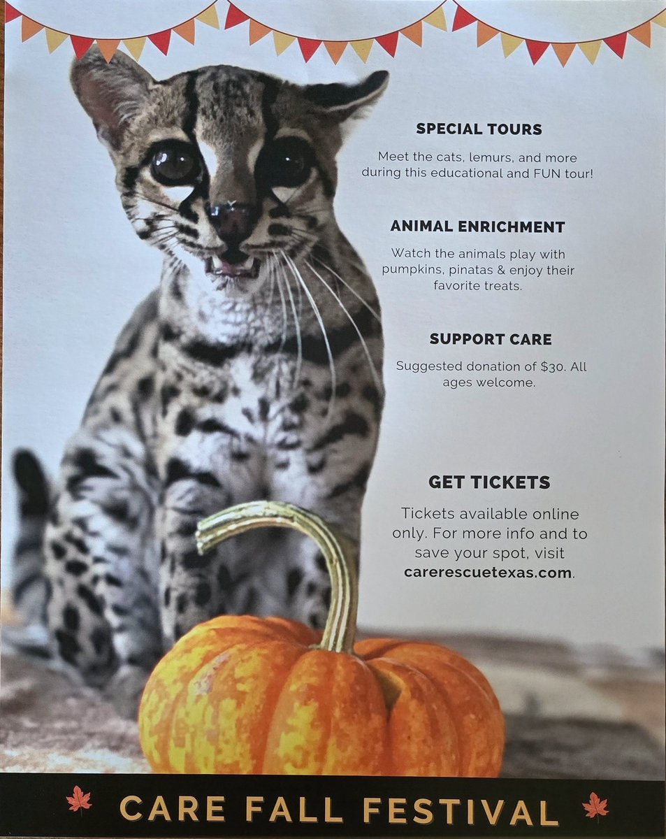 Put on your favorite flanel &amp; dip an orange gourd in some fresh salsa cuz the <a href="/carerescuetexas/">C.A.R.E.</a> 2024 Fall Fest is right around the corner!! Go to carerescuetexas.com for more info on how to book an event ticket. 🍁🐯🍂🎃🦁🧼🐾🫧