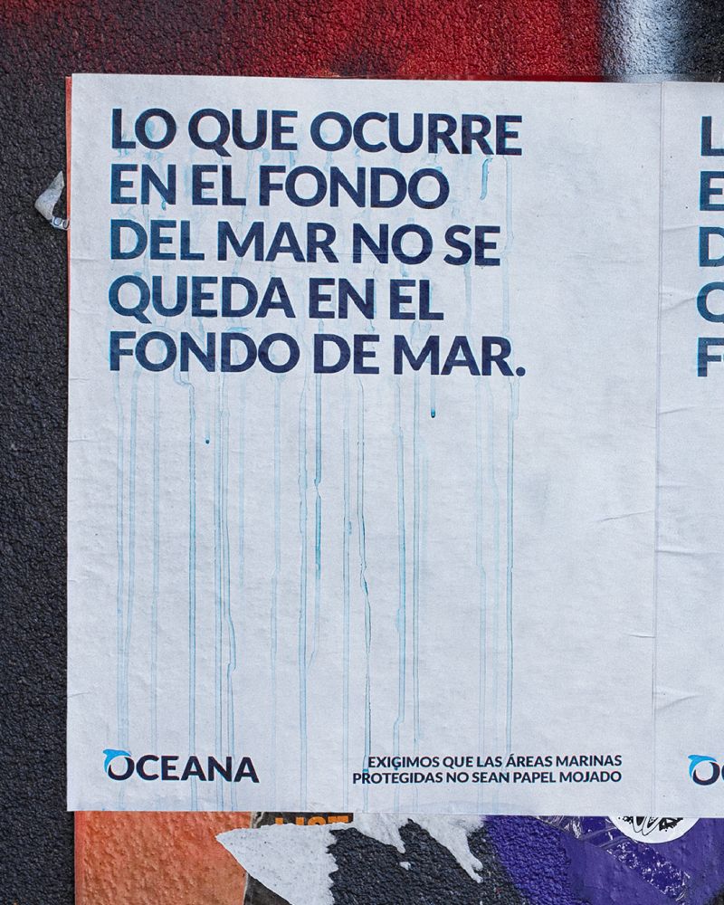 PutosModernos_'s tweet photo. Sorprendente pero cierto: la pesca de arrastre está permitida en áreas marinas protegidas. Esto tiene que acabar, reclama Oceana in Europe. hashtag#PapelMojado https://t.co/72xycnmGvP