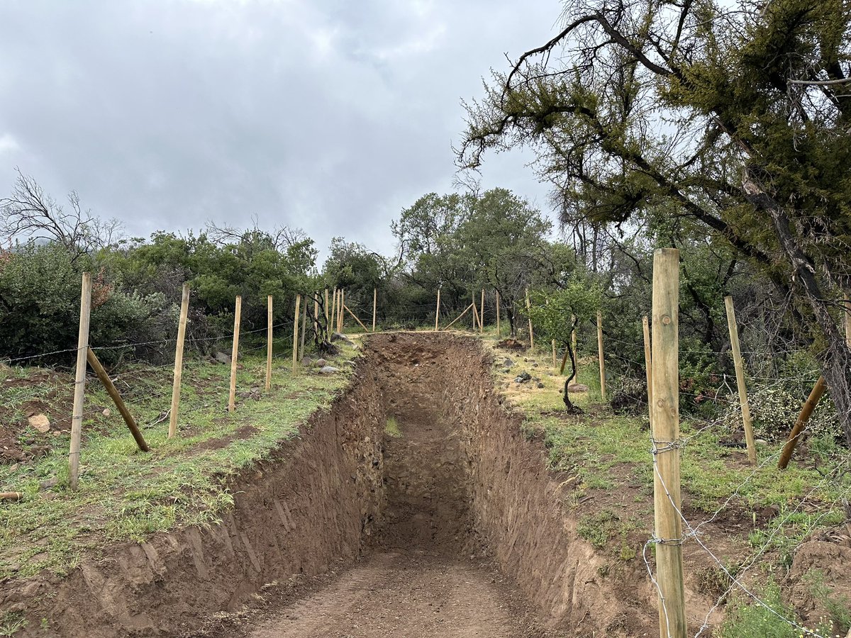 shryaarora's tweet photo. The #PATADays in #Chile continues with incredible talks and awesome fieldwork. Such a great blend of learning about faults and having unique discussions about number of earthquakes clubbed with presentations.
@paleoseismology #activefaults #geology https://t.co/isTEzAZe3e