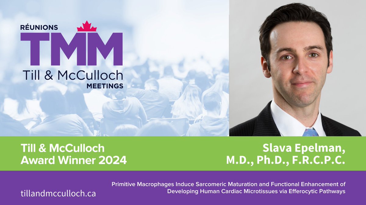 (1/2) We're pleased to announce Slava Epelman, MD, Ph.D. as the 2024 Till &amp; McCulloch Award recipient, recognized for his outstanding research paper published in <a href="/NatureCVR/">Nature Cardiovascular Research</a>. 👏

🔗 stemcellnetwork.ca/dr-slava-epelm… <a href="/EpelmanLab/">Slava Epelman</a>