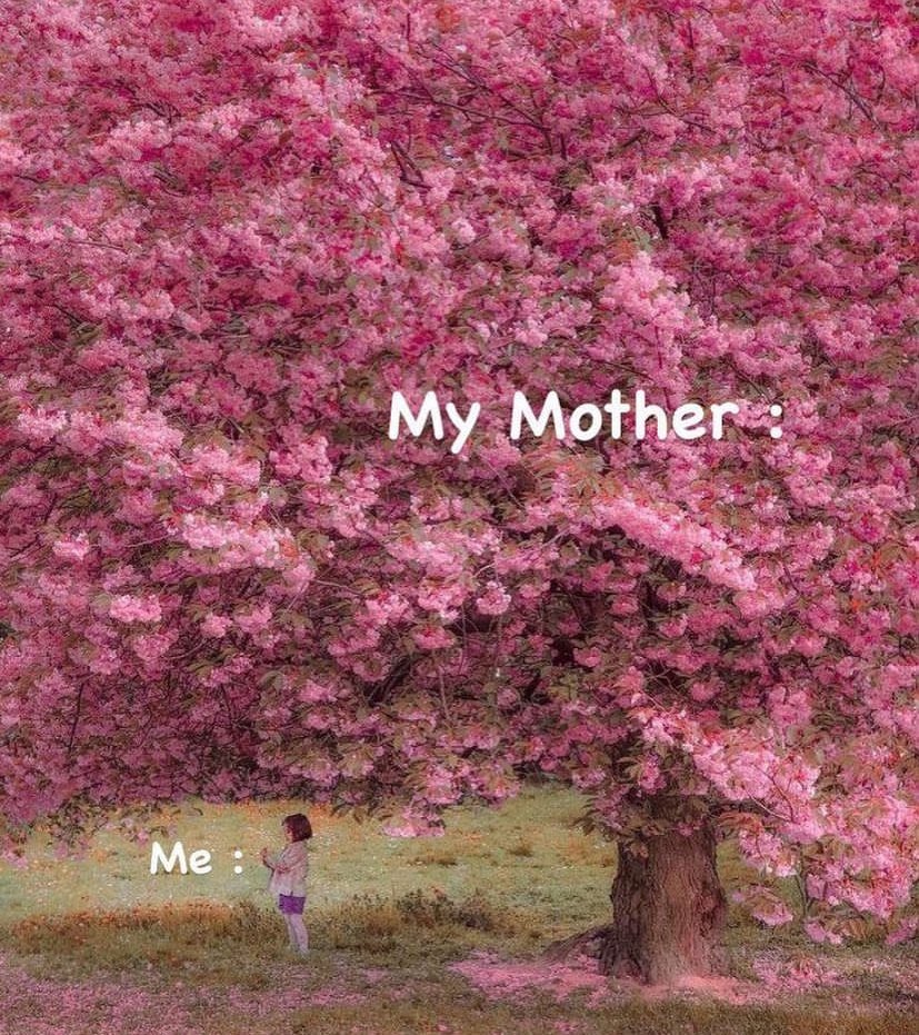 Arab Memes (@arabmemesss) on Twitter photo 