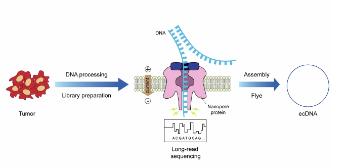 Nicolas Robine tweet media