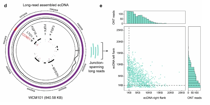 Nicolas Robine tweet media