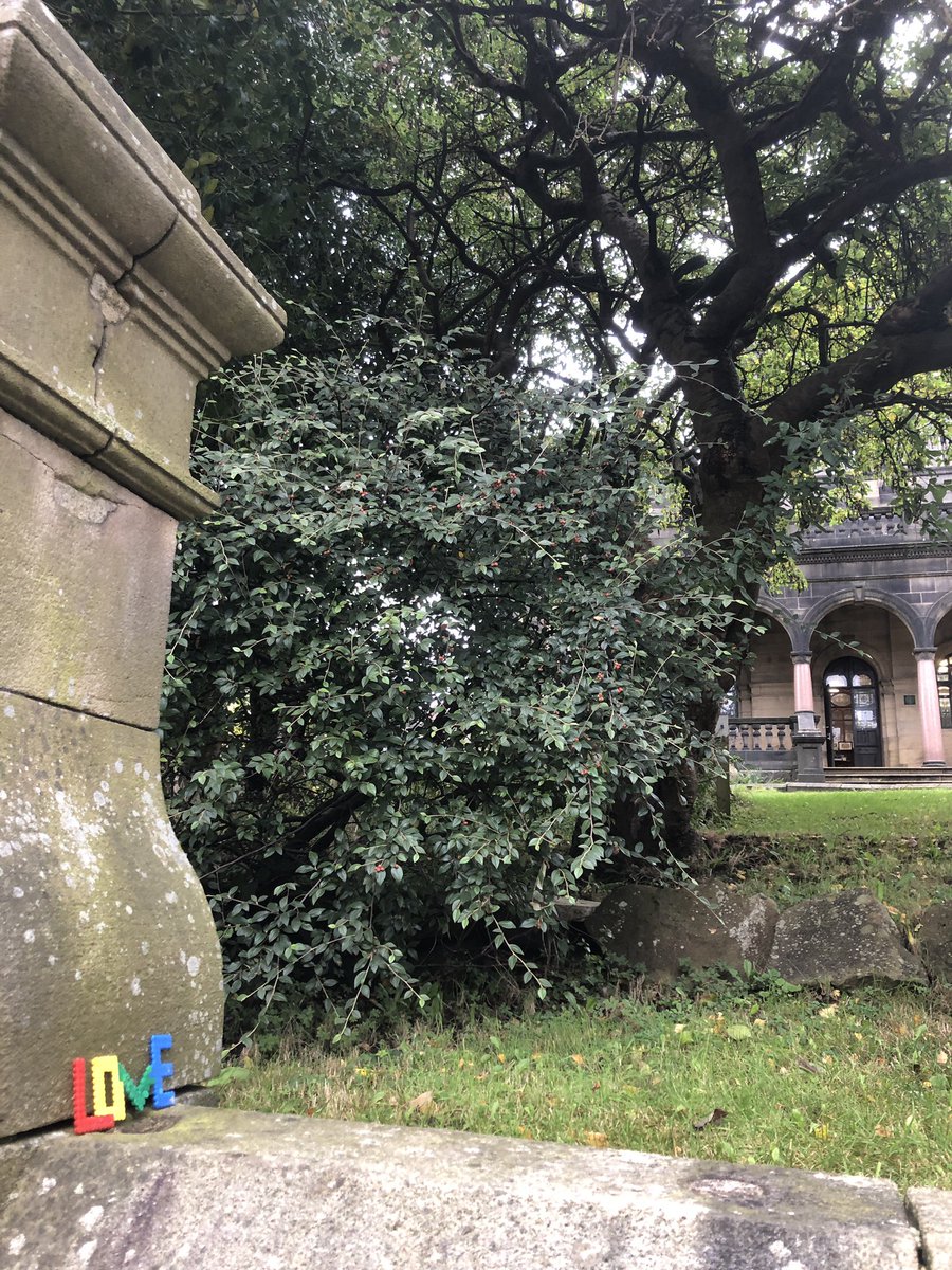 Seen at the Birchcliffe Centre <a href="/PennineHeritage/">Pennine Heritage</a>