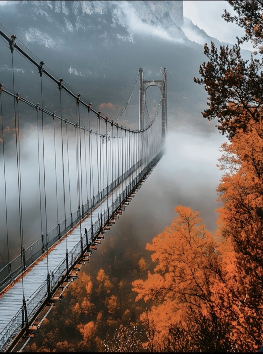 AliaBlakedp708's tweet photo. Have a wonderful day🍁 https://t.co/Jed8QH0vh0