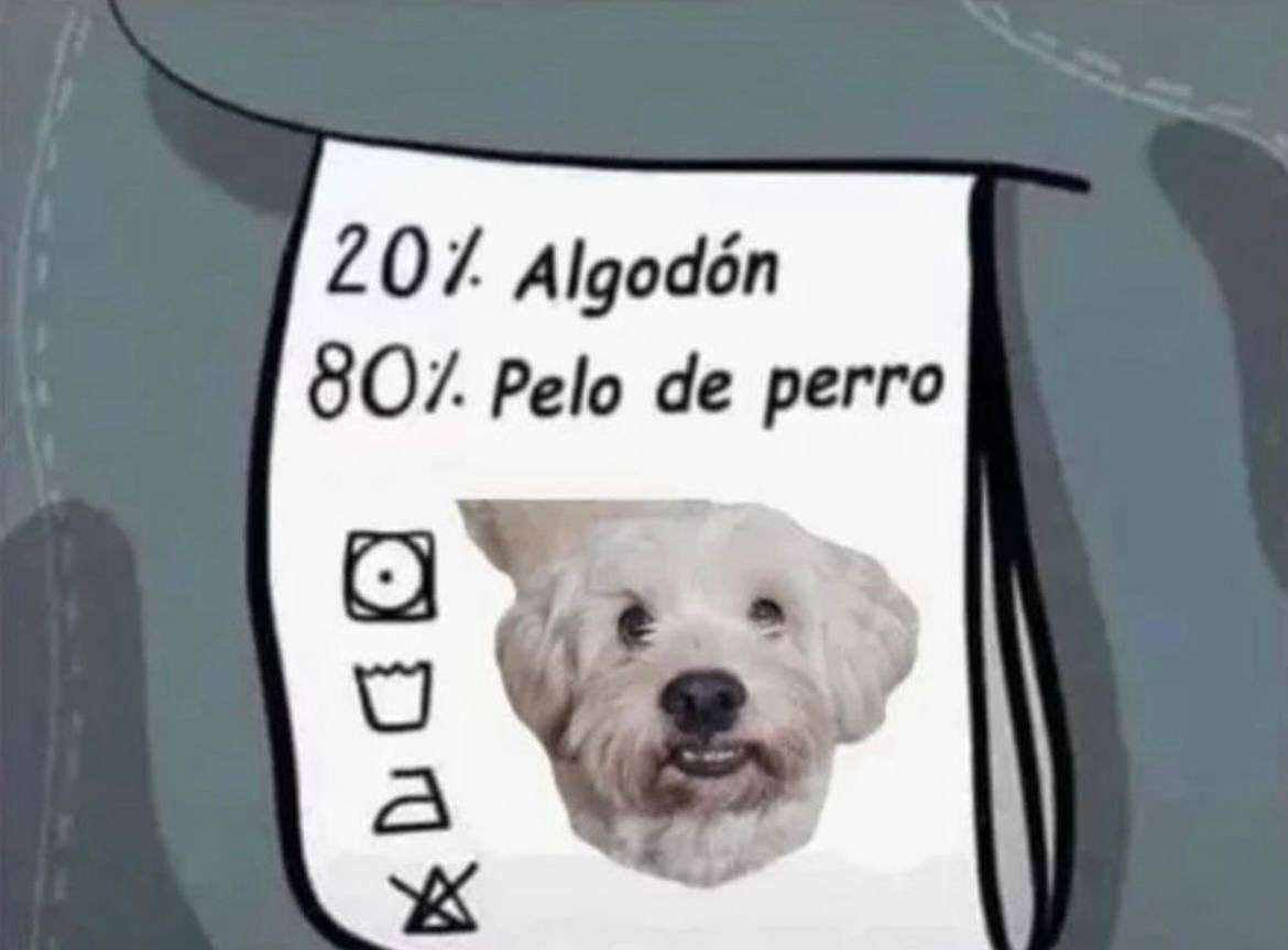 La etiqueta de mi ropa: