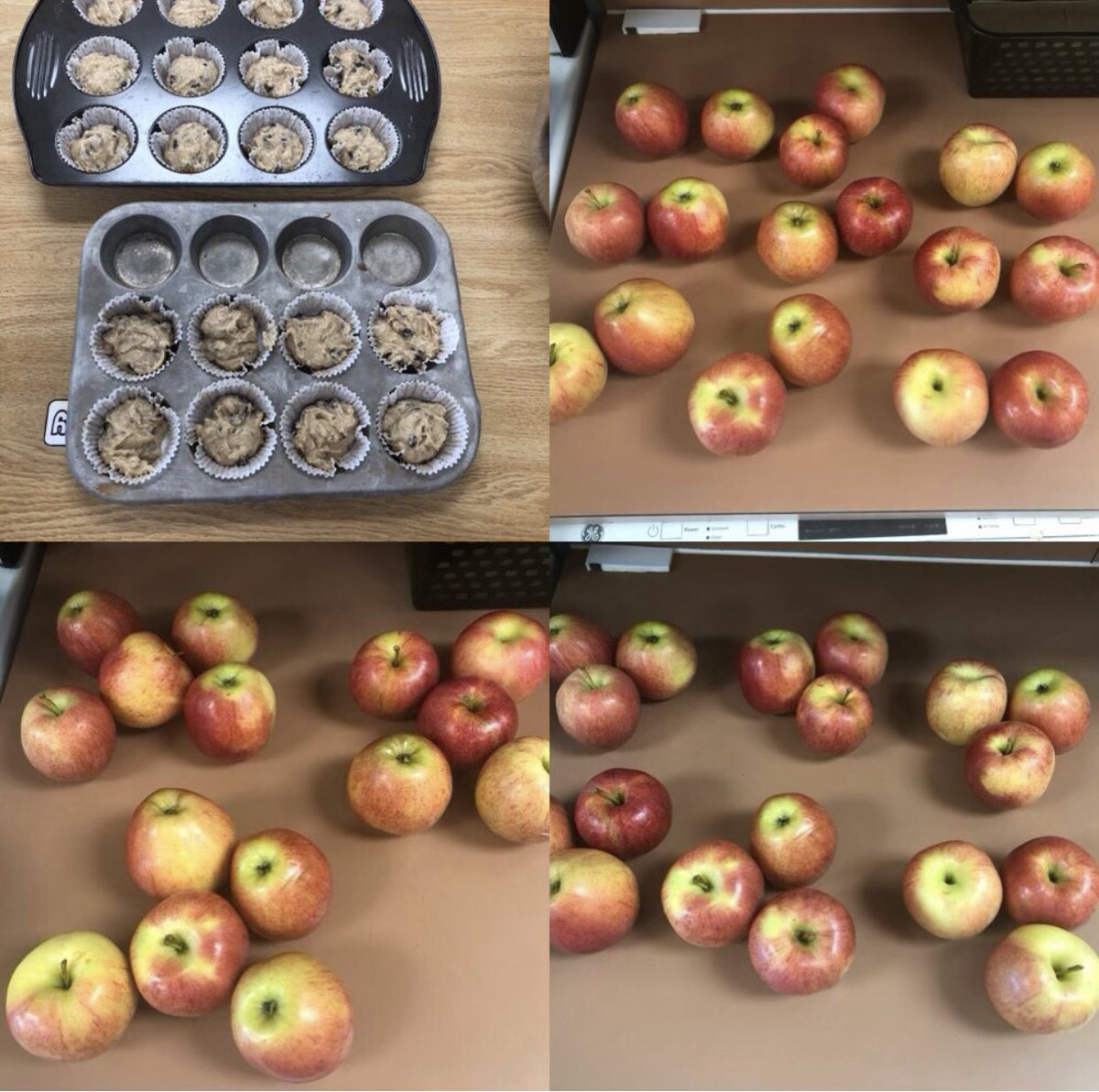 LipoMigena's tweet photo. #HowMany πππ§π§do you π? How can you count them? PIP Ss are learning about skip counting by 2βs, 3βs & 5βs. #dpcdsb #dpmath #ntimages #mathisfun #skipcounting @GoetzGators https://t.co/USLQLlRoD1