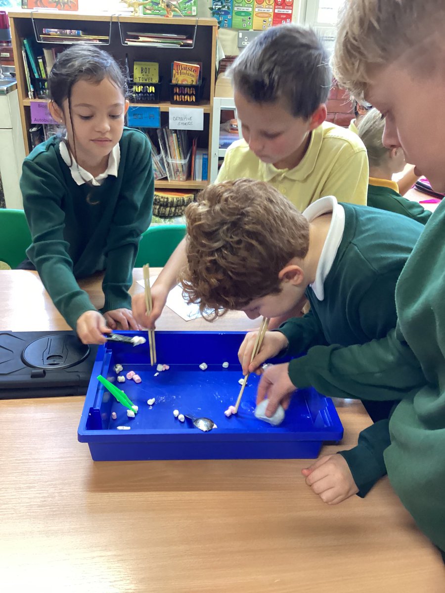 Year5Markeaton's tweet image. We have been learning about evolution, adaptation and inheritance in Science this week. We tested which ‘beak’ was most suited to the different ‘food’ whilst having fun in the process! #MPSScience