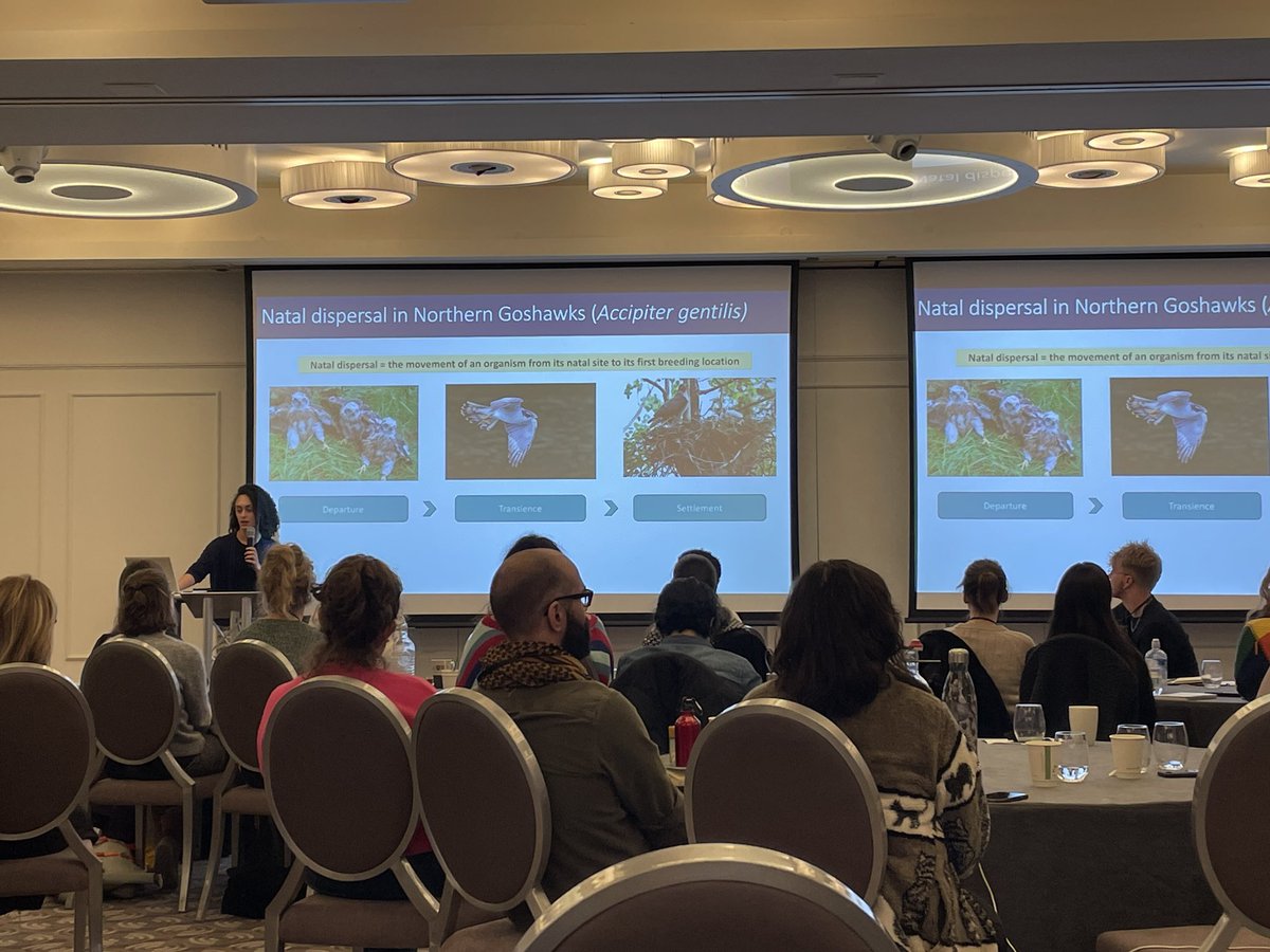 QUADRAT (@quadratdtp) on Twitter photo Another set of fascinating talks to round up day 1 of the annual science meeting! @tegangaetano <a href="/al_malino/">Alusia Malinowska 🐦</a> <a href="/DilbertMumble/">James Dill-Russell</a> <a href="/ElouiseMayall/">Elouise Mayall</a> and <a href="/NaomiKNarz/">Naomi Narzissenfeld</a> Another set of fascinating talks to round up day 1 of the annual science meeting! @tegangaetano <a href="/al_malino/">Alusia Malinowska 🐦</a> <a href="/DilbertMumble/">James Dill-Russell</a> <a href="/ElouiseMayall/">Elouise Mayall</a> and <a href="/NaomiKNarz/">Naomi Narzissenfeld</a>