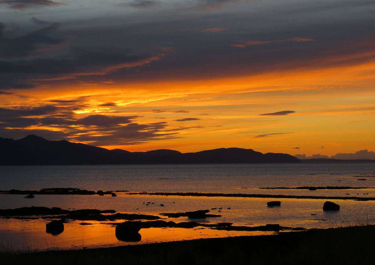 Brian Craig tweet media