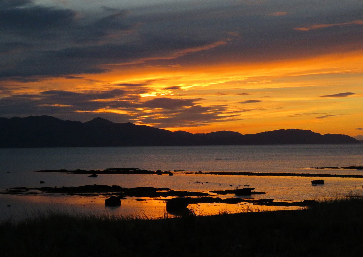 Brian Craig tweet media