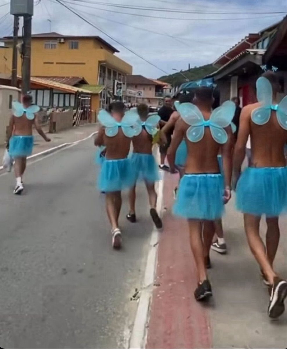 as borboletas do céu azul voltando pro twitter
