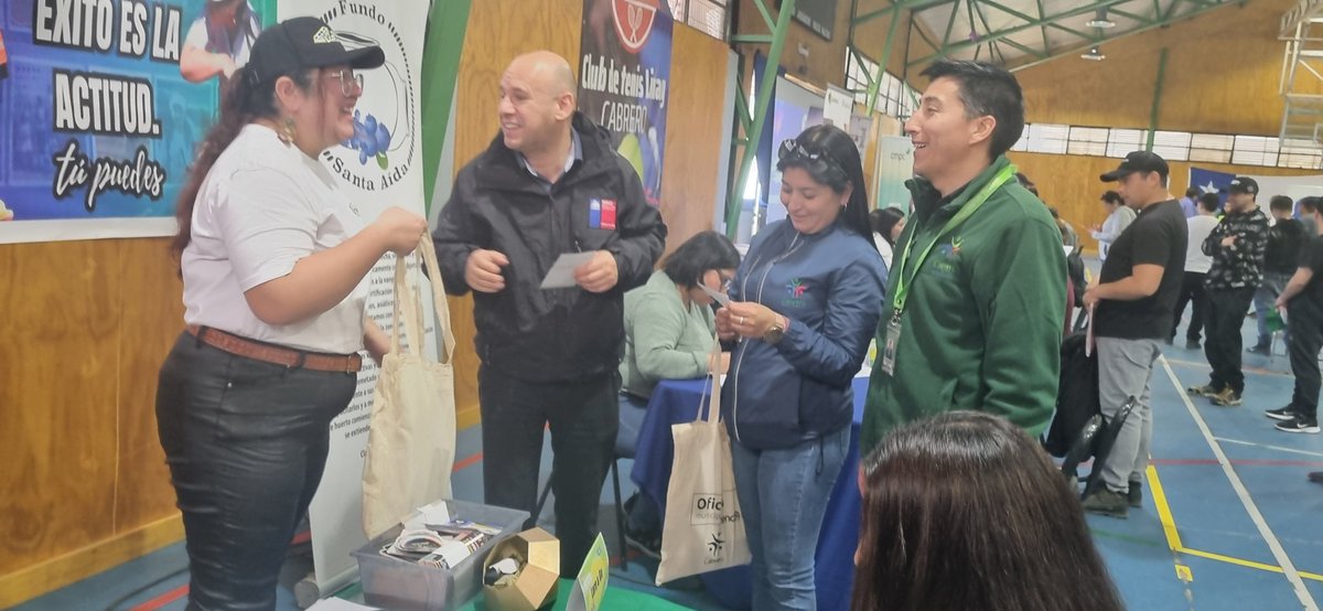 Sence Biobío tweet media