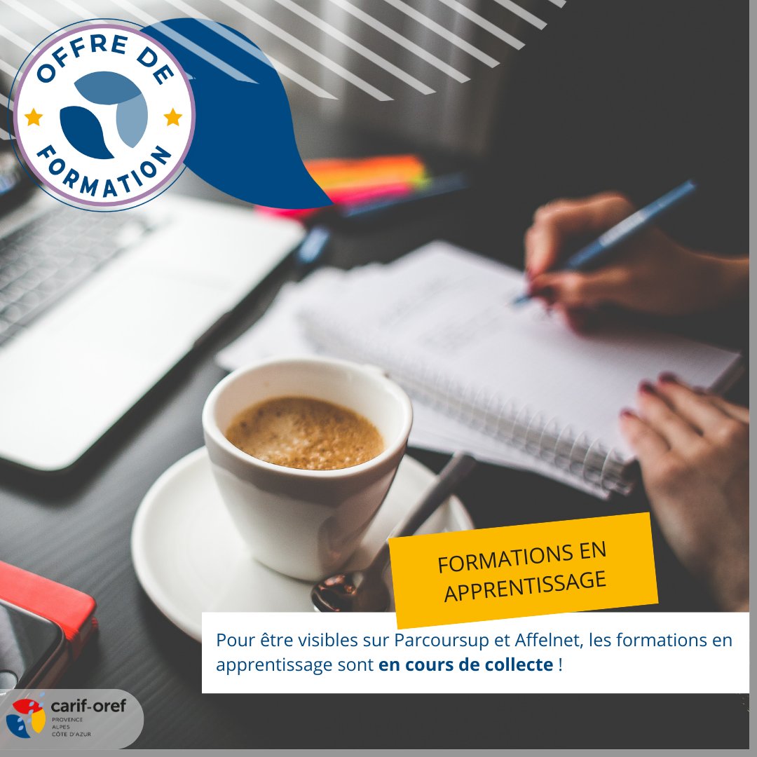 💡[Optimiser le #référencement de votre offre d'#apprentissage !] Le Carif-Oref est le collecteur unique des formations en apprentissage en région et au national sur les systèmes d’information des prescripteurs et sur les sites grand public. swll.to/aCIugE