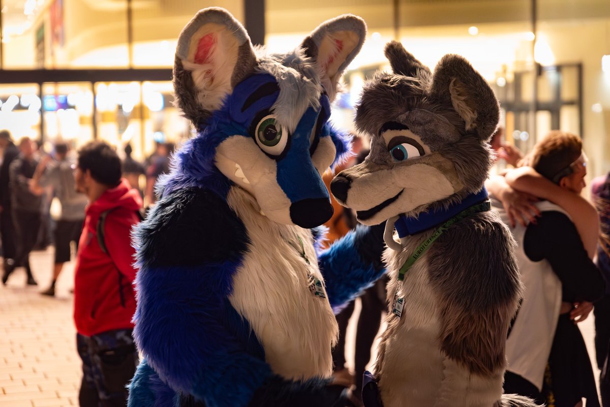 Læxi (<a href="/LaexiFox/">Læxi 🇧🇻 🔜@FWA</a>) &amp; Kiba (<a href="/KibaIB/">Kiba 🐺</a>) #EF28