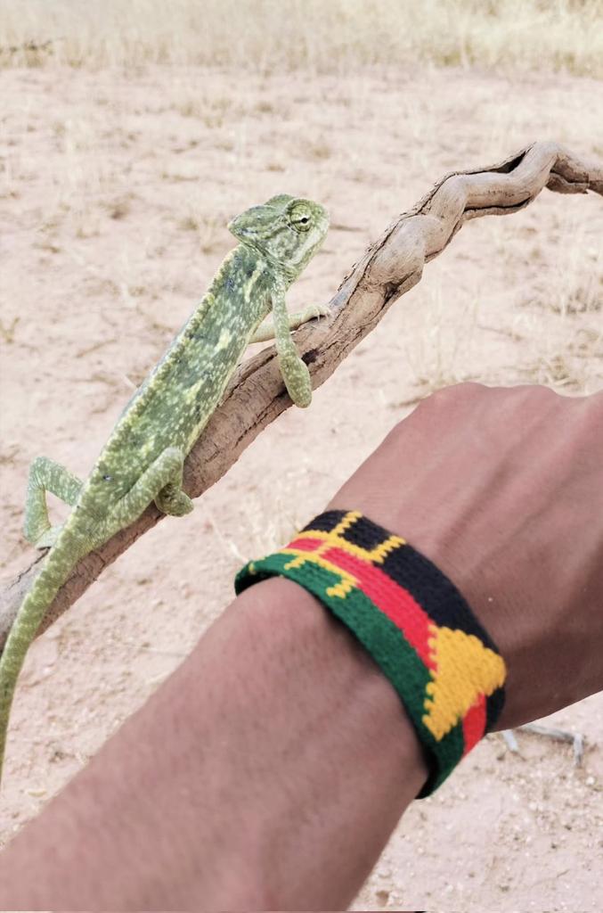 #AZAWAD
ⴰⵣⴰⵡⴰⴷ ⵀⴰⵔⴽⵓⴽ ⵎⴰⵢ ⵉⵙⴰⵏⴻⵏ ⵜⴰⵎⴰⵛⵉⵇ ⴰⵏⵡⴰ ⵉ ⵢⴻⵙⵙⵏⴻⵏ ⵜⵓⵜⵍⴰⵢⵜ ⵜⴰⵎⴰⵛⵉⵇⵜ?