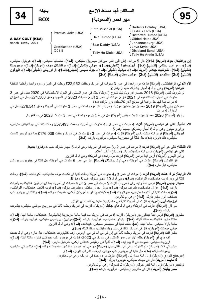 alatawi_badr's tweet photo. من نخبه معروضات مزاد ابو عبيد للامهاره اليوم الثاني رقم 95 انتاج توليد برا 
@ABDULAZIZ04980 https://t.co/PZjlrV8Xlq