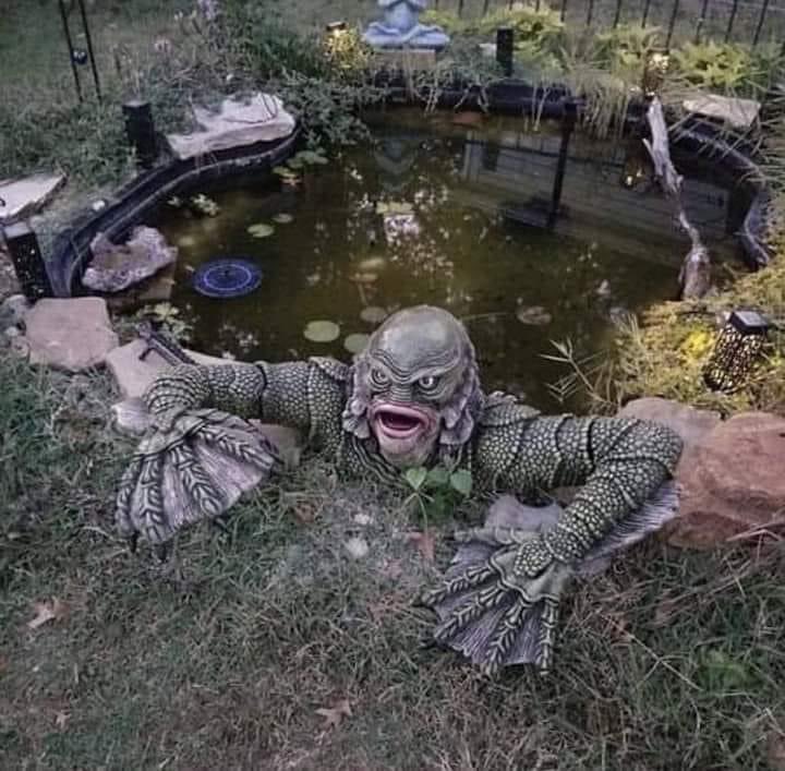 This is still the best garden decoration out there!