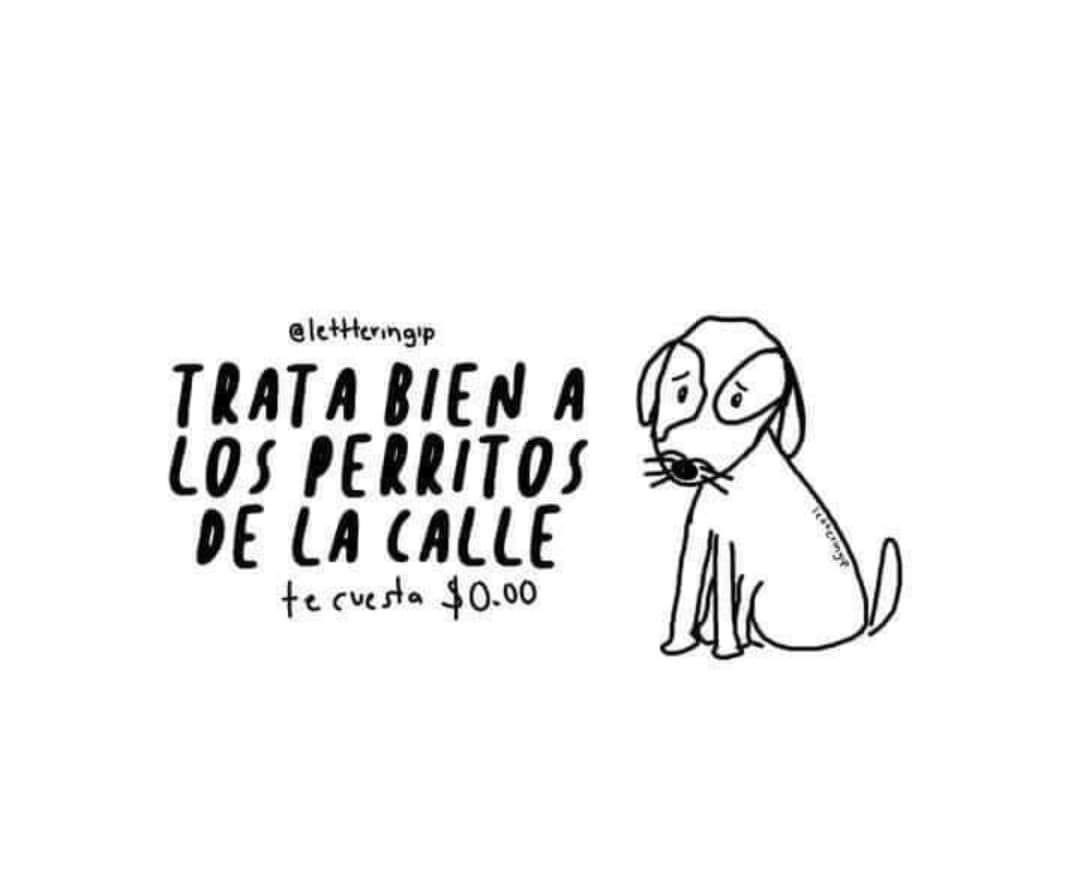 gllgina1's tweet photo. No te cuesta nada🐾 https://t.co/7ACFqOxocO