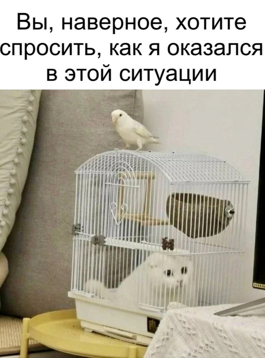 Не пов, а рил.
Сначала работаю в офисе 7 утра до 8 вечера, а потом смотрю сериал про эскортниц.
Где я свернула не туда???