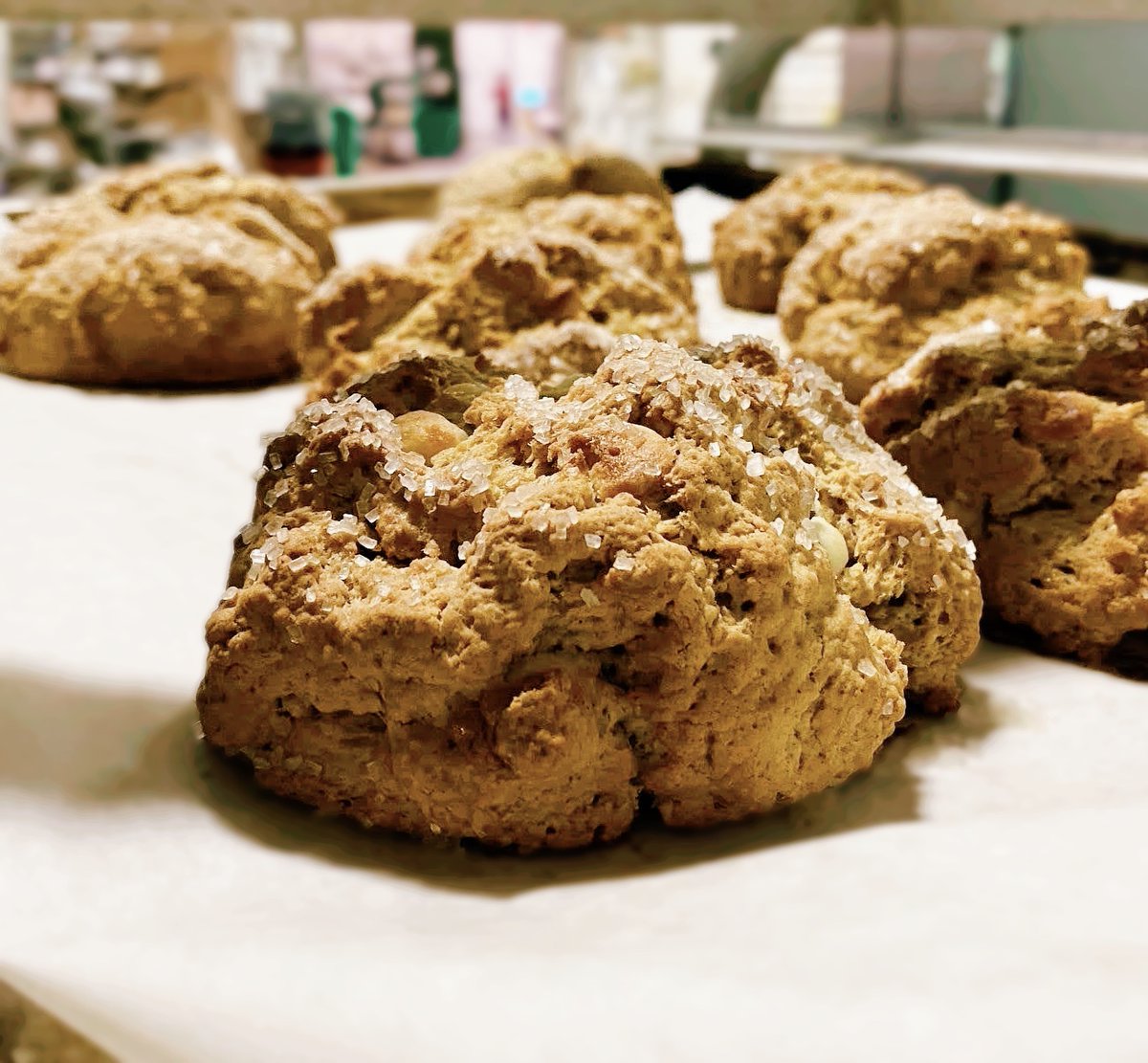 Cozy up with White Chocolate Pumpkin Scones! 🎃🍫 Soft, spiced pumpkin paired with sweet white chocolate makes for the perfect fall treat. Ask for it warmed up to enjoy on a fall day! 

…

#bloomingtonbagelcompany #bagels #food #bloomington #fall #pumpkin #whitechocolate #scone