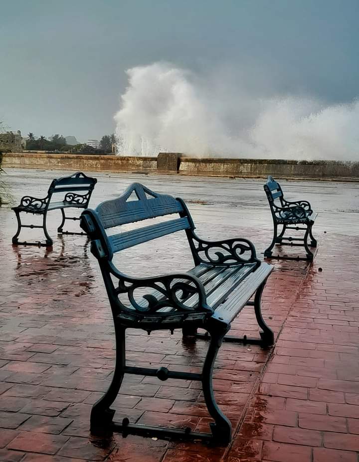 RevistaBohemiaCuba tweet media