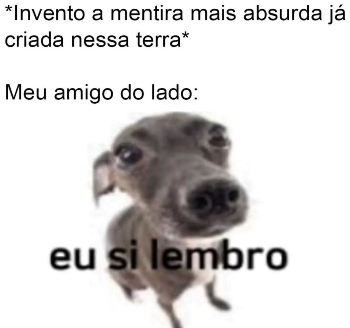 Shitpost só que de verdade tweet media