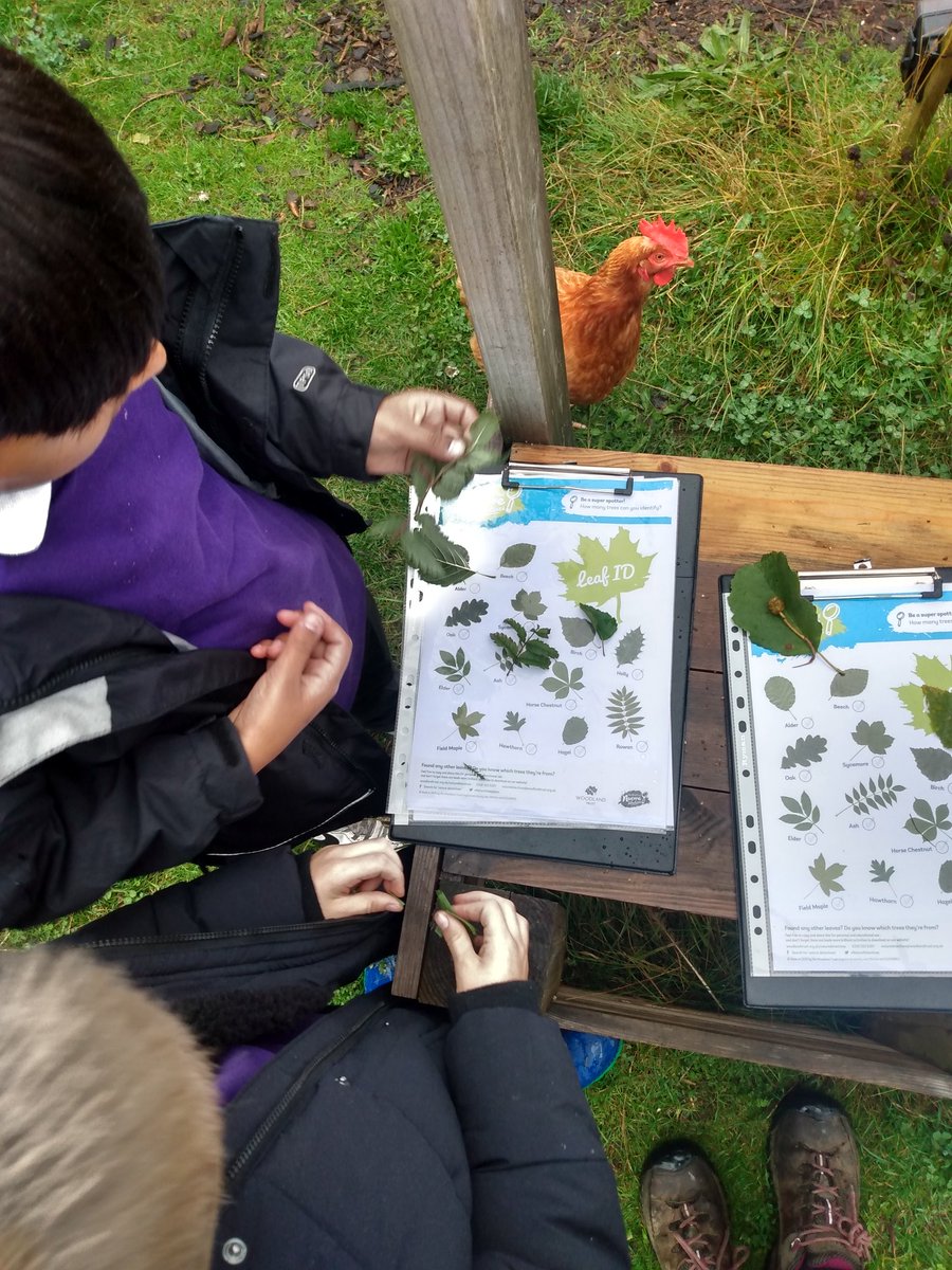 "There's a pond "!!! Pupils exploring the wetland, pond after the 🌧️. Lots of mudplay. fed the chickens and id of trees <a href="/FrogstonPS/">FrogstonPS</a> <a href="/FrogstonFarm/">Frogston Farm to Fork</a> <a href="/EdOutdoorLearn/">Outdoor Learning Edinburgh</a> <a href="/EdSust/">UoE Sustainability</a> <a href="/EdOutdoorLearn/">Outdoor Learning Edinburgh</a> #outdoorlearning #playmatters #environmentalstewardship #nature #chickens #natureconnection