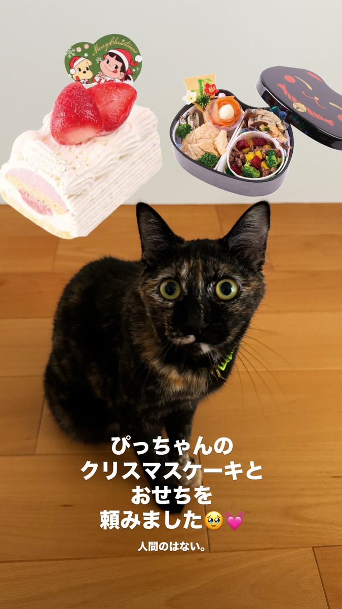 onupidesign's tweet photo. ぴっちゃんのクリスマスケーキとおせち���ぴっちゃんの幸せが私の幸せ🥹✨ https://t.co/RXGv1SwBRV