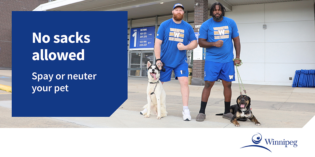cityofwinnipeg's tweet photo. The @Wpg_BlueBombers know a thing or two about allowing no sacks on the field. Now they’re helping us get the word out about removing them from your pets.

Learn more: https://t.co/DPNW0IOV8f https://t.co/nKeL2jwCoq
