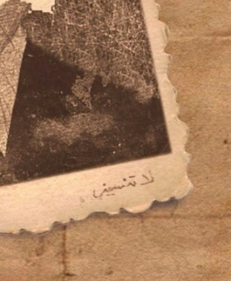 "لا لستُ أنساهُم حتى وإن رحلوا
لازلتُ أذكُرهم يحدُوا بيَ الأمل"