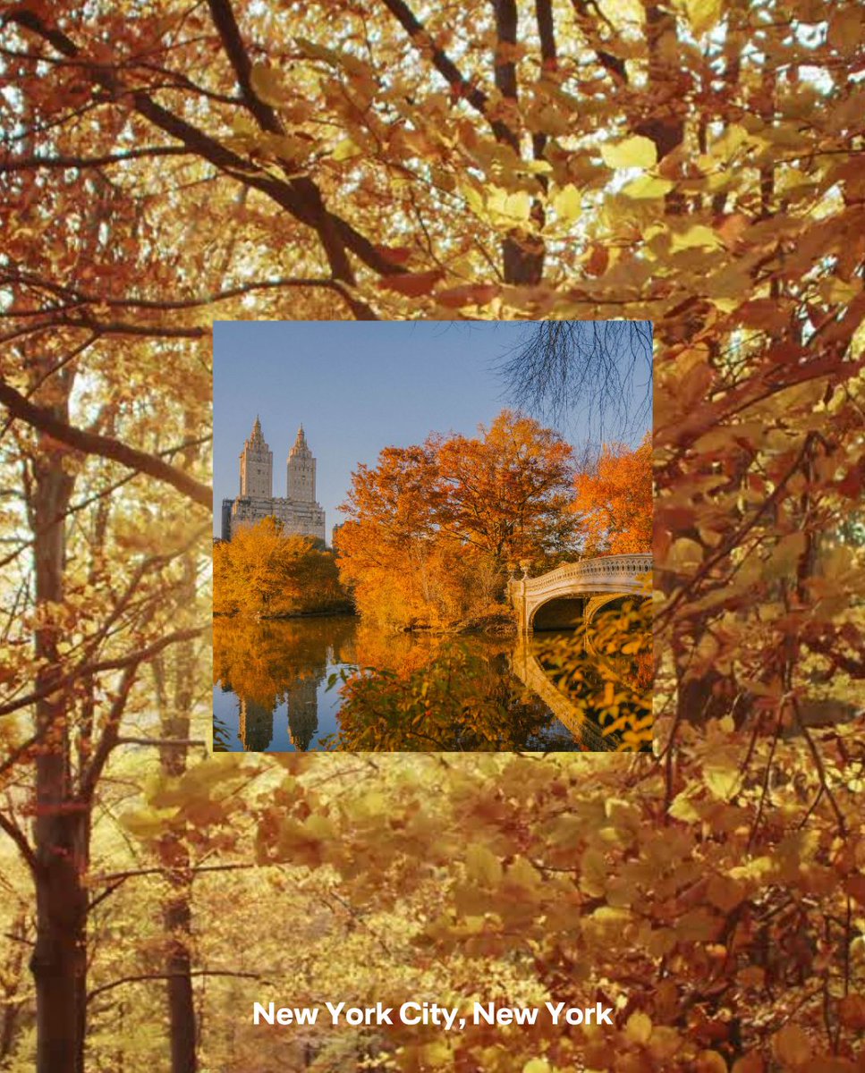 Lufthansa tweet media