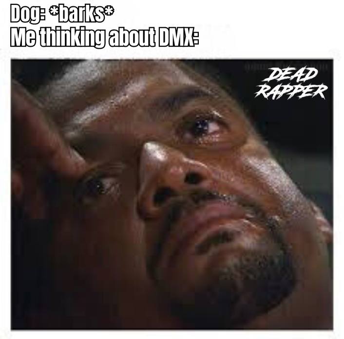 Nine Lives tweet media