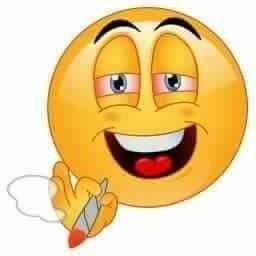 morguenote's tweet photo. "o que voce fez enquanto o twitter tava proibido?" https://t.co/WePiu6kk9R